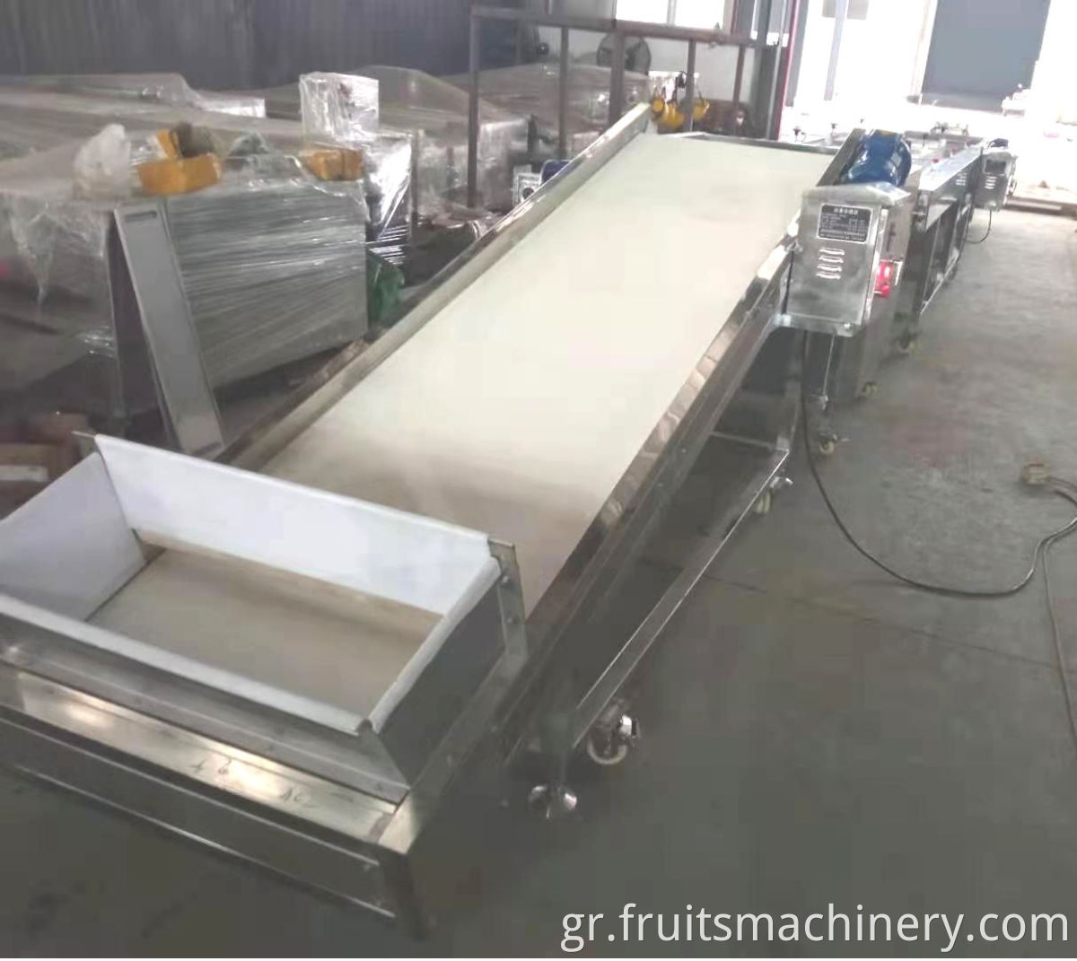 Blueberry Sorting Machine Grading Machine For Blueberry Plant